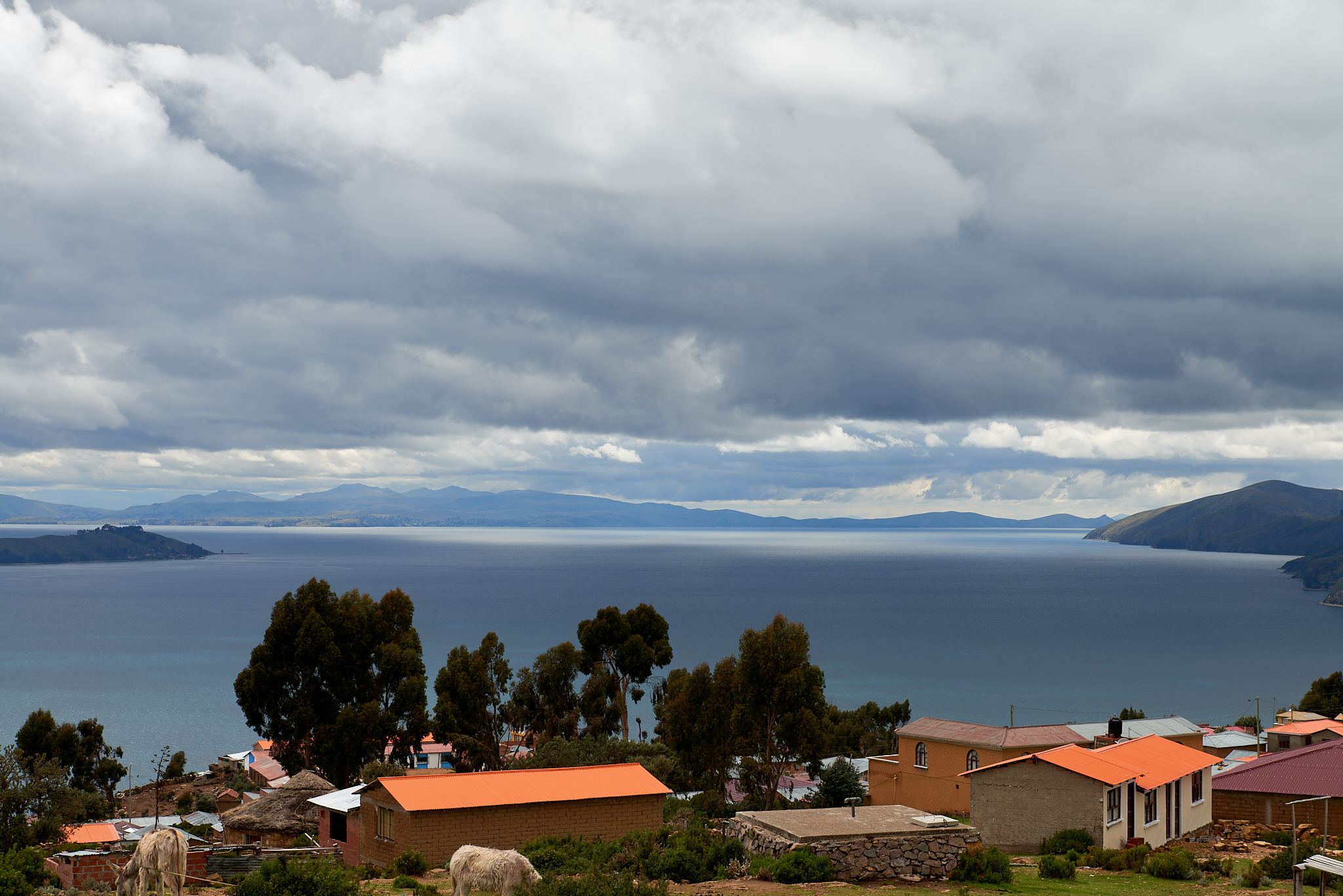 20200310 007 [볼리비아] 티티카카호수